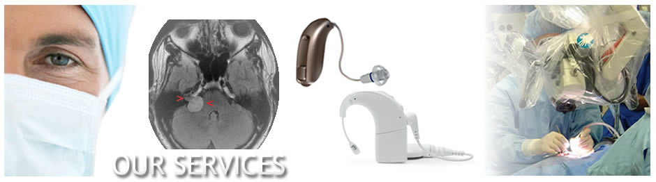 Our Services Banner_Ear Institute of Chicago